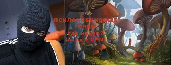 тгк Абинск